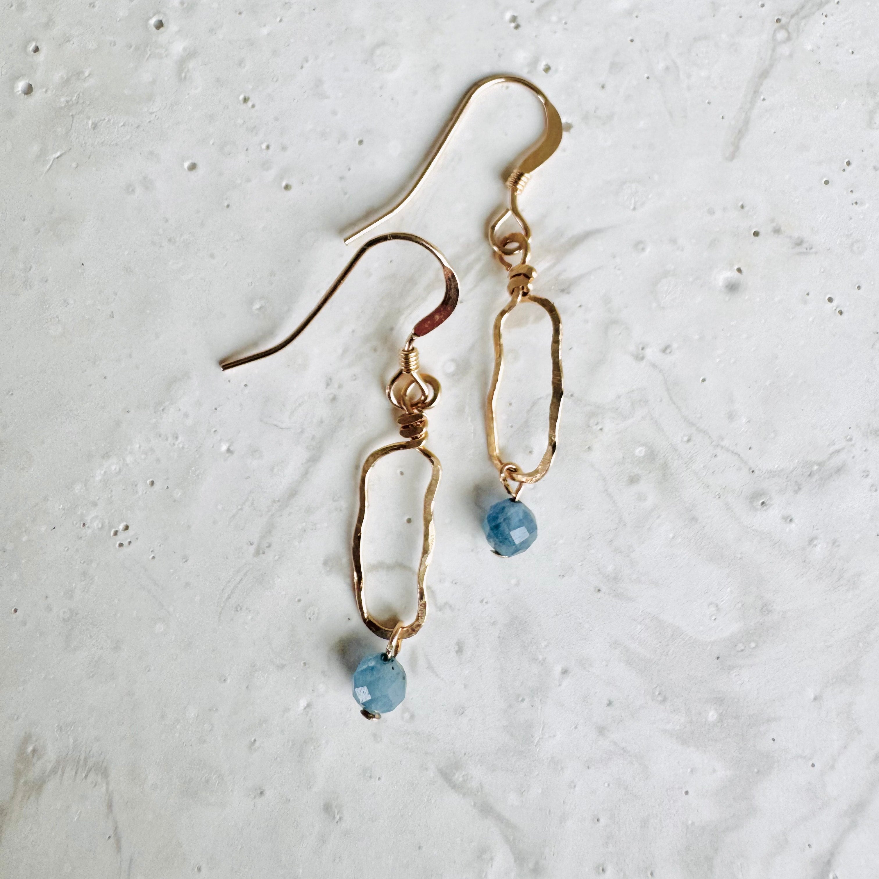 Earrings - Organic Hoop Gem