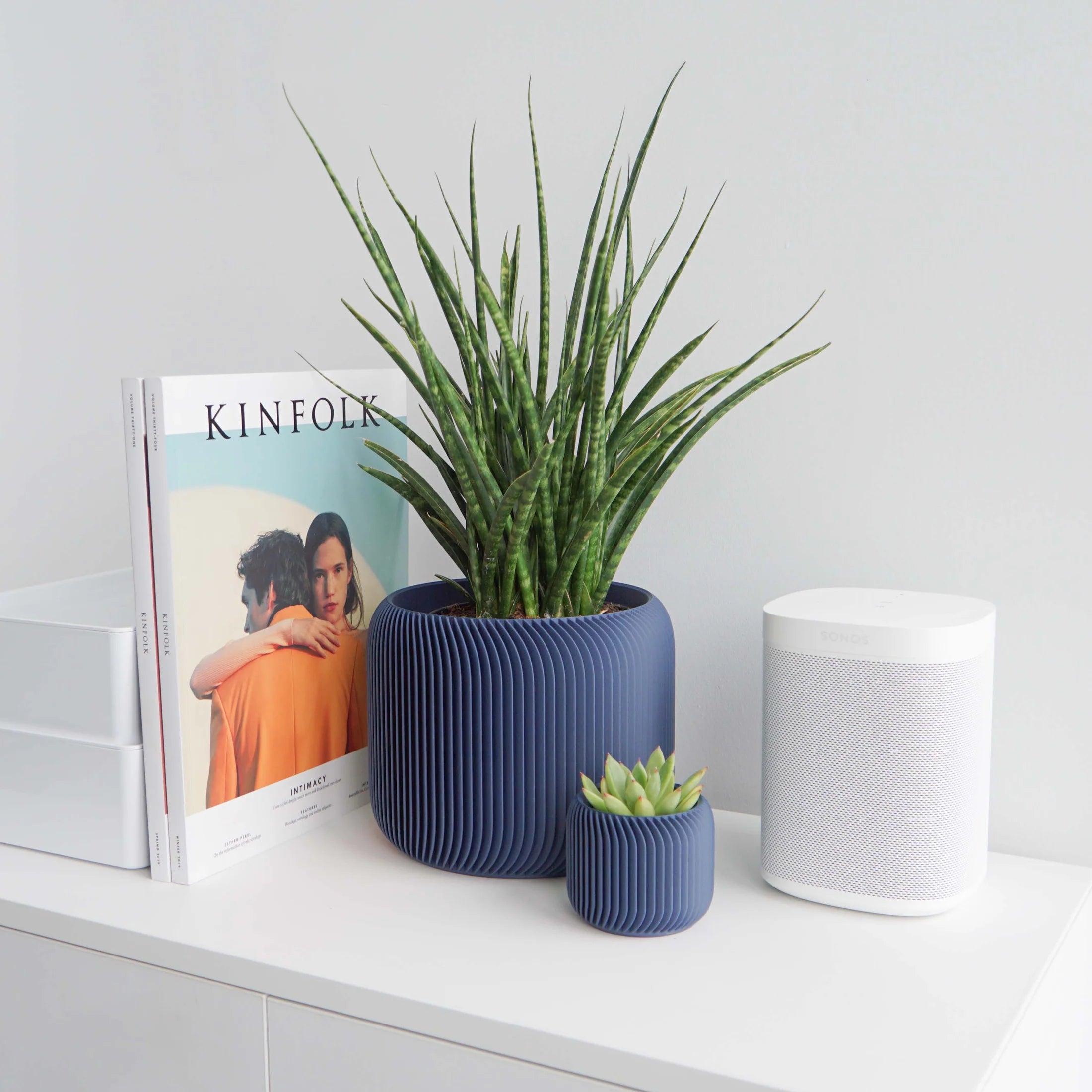 Conifer Home Wares - Pine Planter