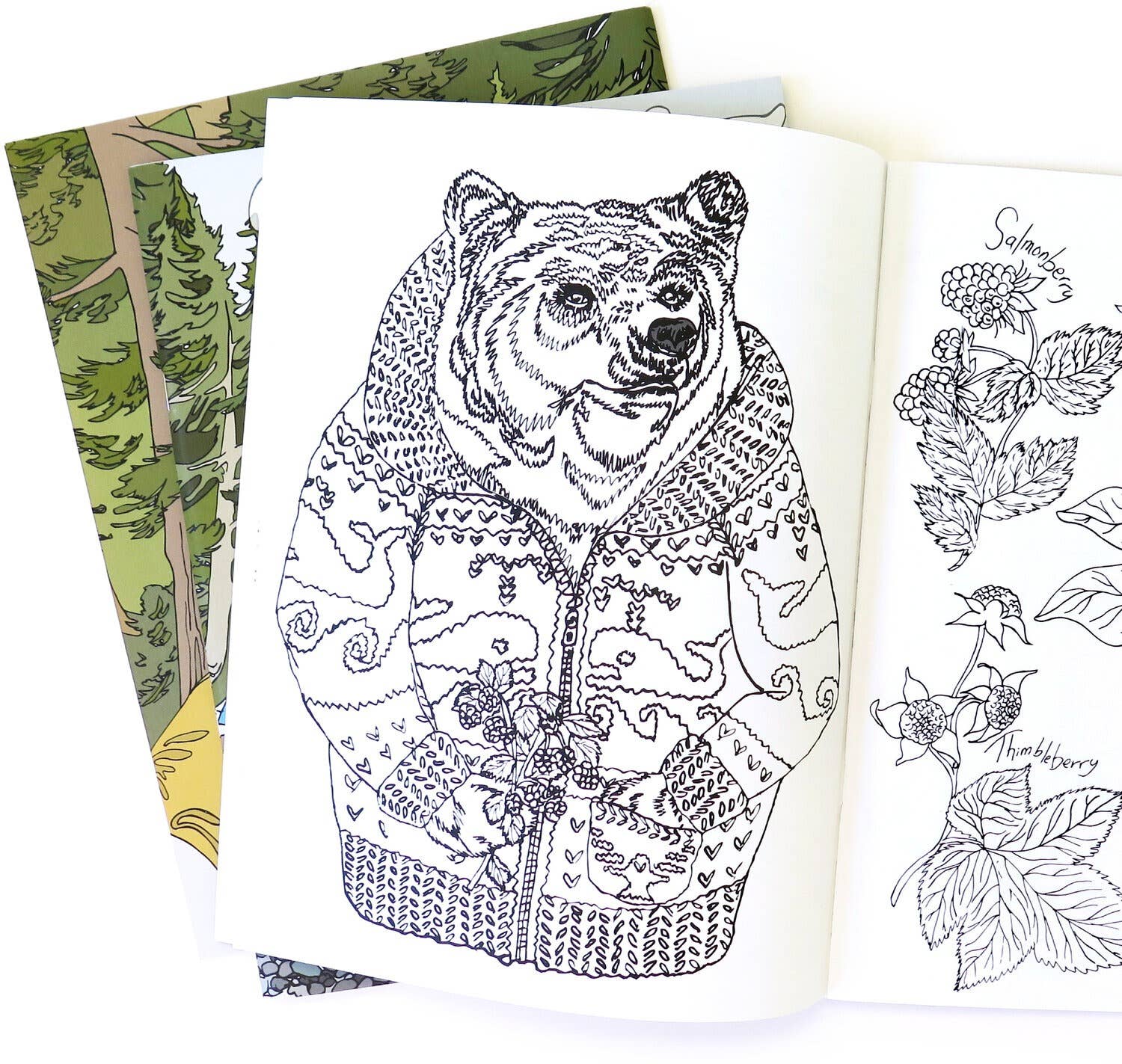 Wild Life Illustration Co - Wild Life Colouring Book