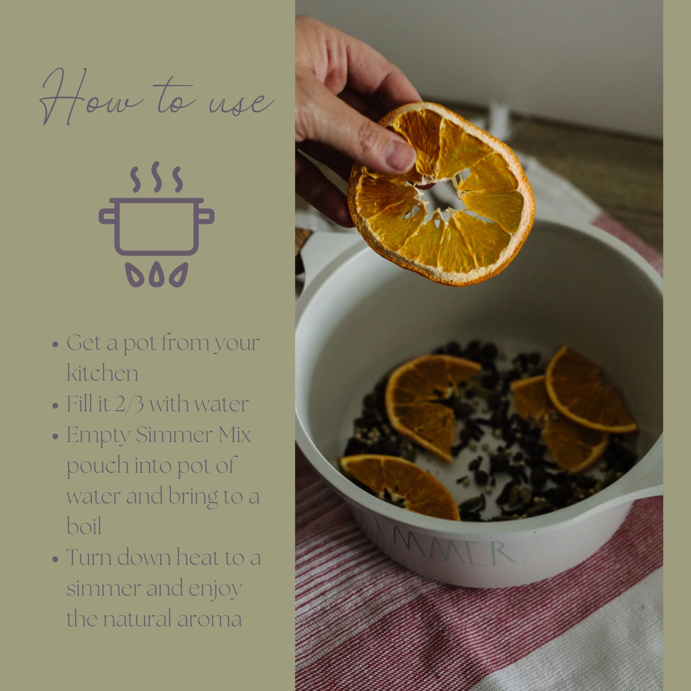 Be Celebrated Simmer Pot Mix | Limited Edition Holiday Aroma