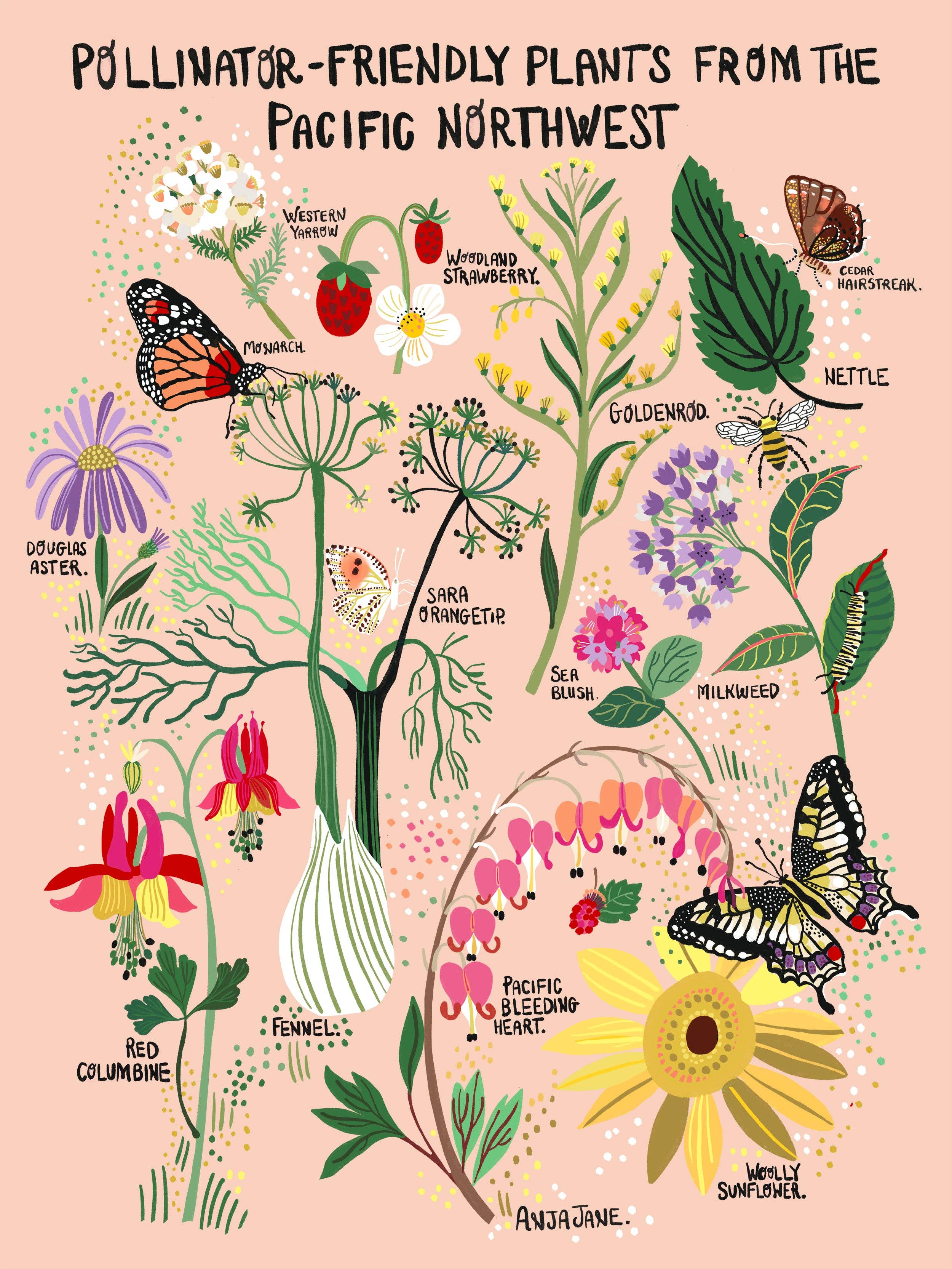 Art Print - Pollinator - Friendly Plants