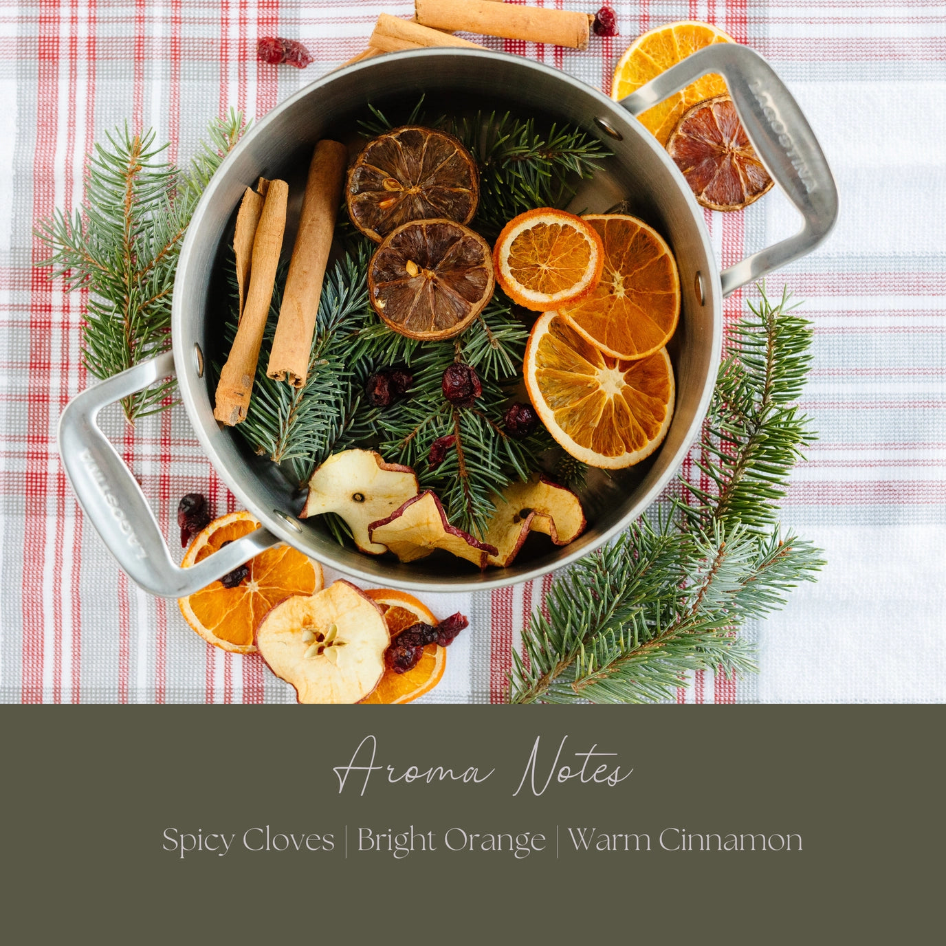 Be Merry & Bright Simmer Pot Mix | Limited Edition Holiday Aroma
