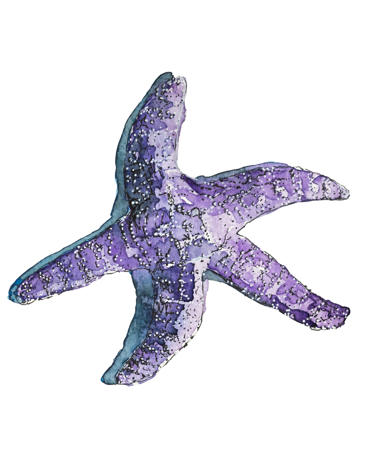Sticker - Seastar